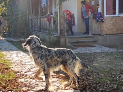 Saguramo School of Natural Sciences and Kindergarten