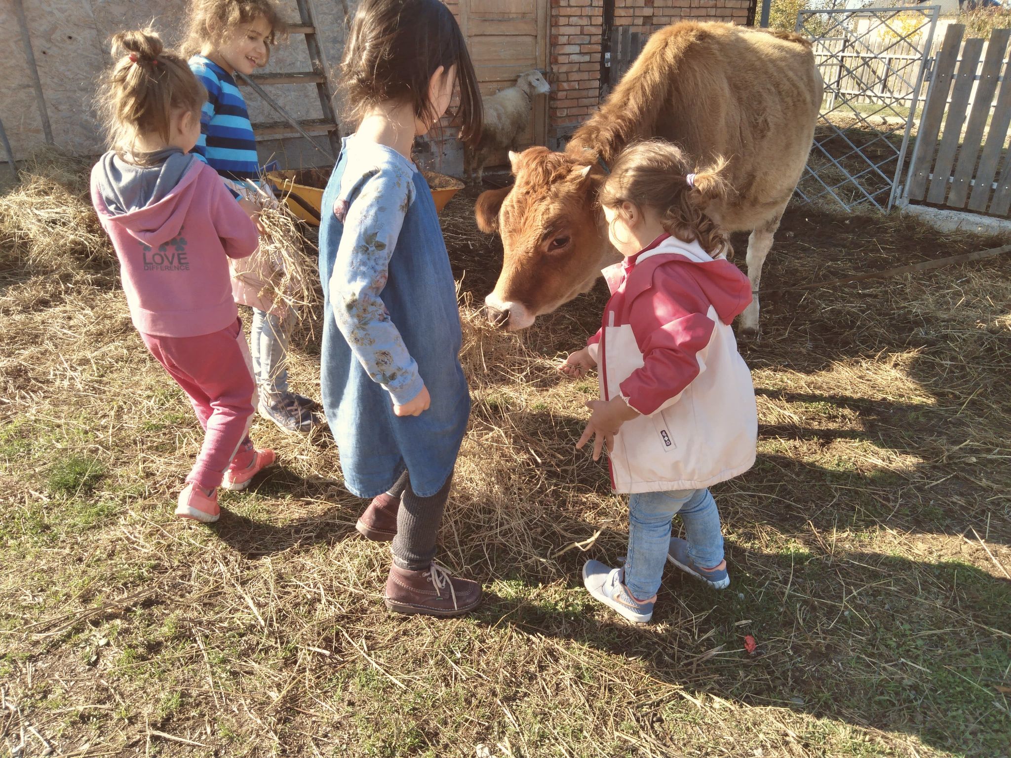 Saguramo School of Natural Sciences and Kindergarten